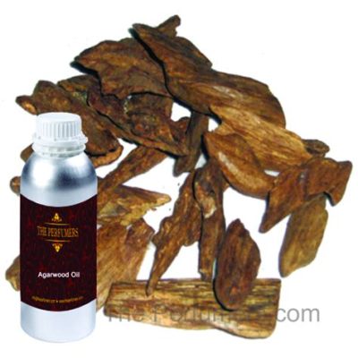  Agarwood! A Treasured Resin With Aromatic Potential for Perfumes and Traditional Medicine?