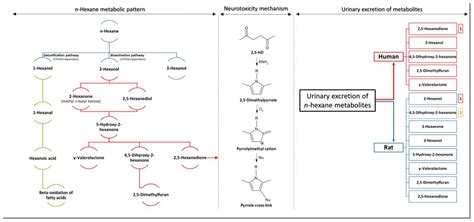 Hexane: การสกัดและการสังเคราะห์สารประกอบอินทรีย์ที่สำคัญ!